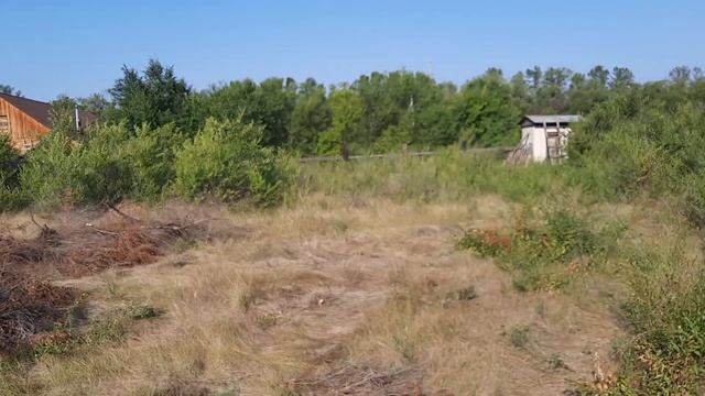 продажа земельного участка в пос. Зеленом по улице Лузанова смотреть онлайн