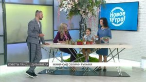Мастер-класс: мини-сад своими руками