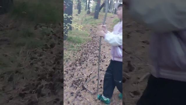 остался один в лесу ( пока не будет 50 подписчиков) смотреть онлайн