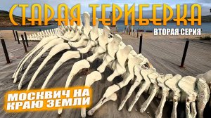 Старая Териберка. Скелет Левиафана. Отели, олени и киты! Выпуск № 2.