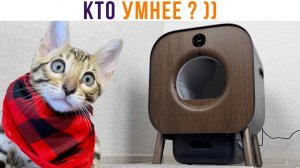 ПИКСИ или КОШАЧИЙ ЛОТОК? Кто умнее? )))