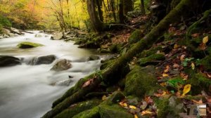 Сбежав от жениха, которому ее сватали мать с отчимом, нашла где живет отец, но едва открылась дверь