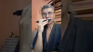 Губная гармошка. Азы игры. Учим простые мелодии.