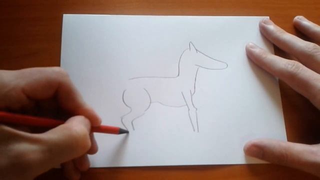 Видео: Как нарисовать ЛОШАДЬ карандашом поэтапно для начинающих?