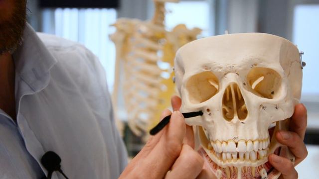 Bones of the orbit смотреть онлайн