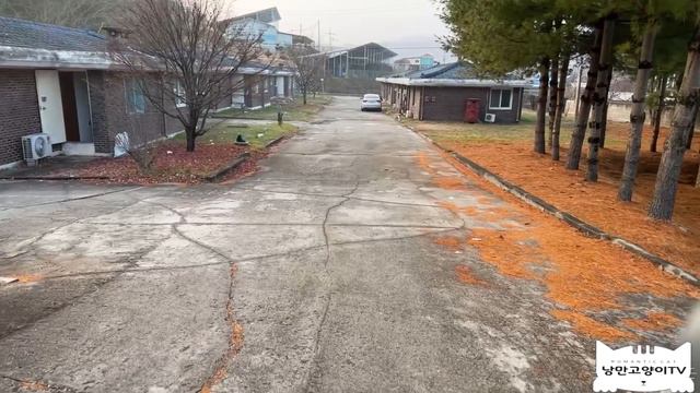 (ENGSUB)산에 유기된 고양이들의 가슴 짠한 이야기 смотреть онлайн