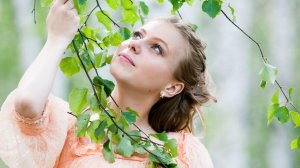 Белая берёза.