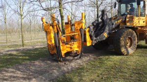 Как выкопать большое дерево?