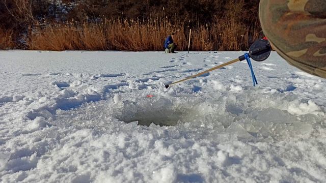 ЛОВЛЯ ОКУНЯ ЗИМОЙ НА МОРМЫШКУ//WINTER PERCH FISHING// смотреть онлайн