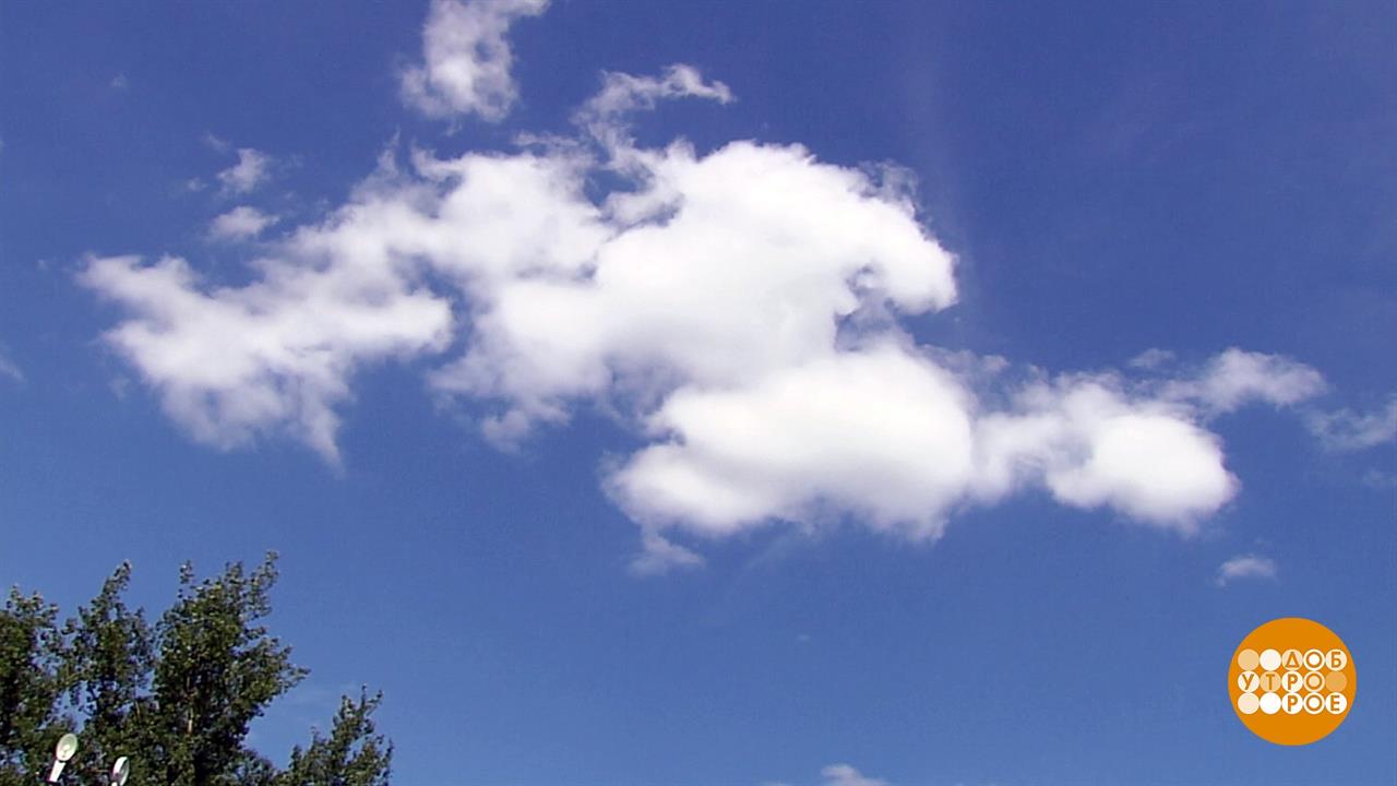 Караоке белогривые лошадки. Облака белогривые. День наблюдения за облаками. День наблюдения за облаками 19 июня. Облака белогривые лошадки.