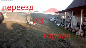 Купили дом в деревне