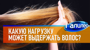 Галилео | 0065 ? Какую нагрузку может выдержать человеческий волос?