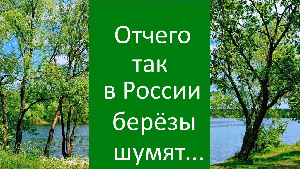 Почему в россии березы шумят песня