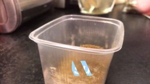 Подкармливание новорождённых морских свинок|чем кормить?|СВИНКИ с МОРЯ