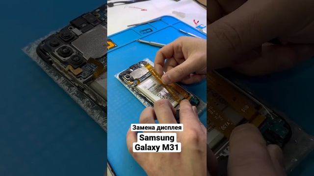 Замена дисплея Samsung Galaxy M31