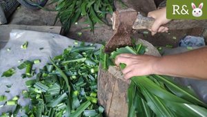 ЗАГОТОВКА ??? КОРМА ДЛЯ КРОЛИКОВ НА ЗИМУ!