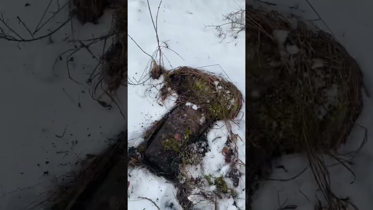 Камень странный и похоже что рукотворный, что это может быть???? Шутка природы или человек делал ? смотреть онлайн