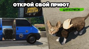 СПАСАЕМ КОТИКОВ - СОЗДАЛИ ПРИЮТ ♦ Animal Shelter
