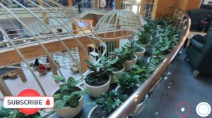 Pine Beach Resort Belek 5*. Что внутри отеля ? What's inside the Pine Beach Resort Belek 5* hotel?