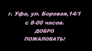 АНОНС  ЯРМАРКА ГОЛУБЕЙ В УФЕ 23 СЕНТЯБРЯ 2023 ГОДА