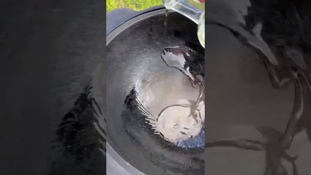 ФУНЧОЗА В КАЗАНЕ НА КОСТРЕ С КУРИЦЕЙ И ОВОЩАМИ, ПОЛНОЕ ВИДЕО НА МОЁМ КАНАЛЕ ЗАХОДИ И ПОДПИСЫВАЙСЯ⬇️ смотреть онлайн