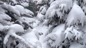 Секрет от Бешенного гончара