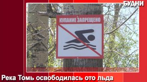 Купание в Томи запрещено
