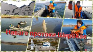Навага и корюшка с лодки. Рыбалка на Камчатке