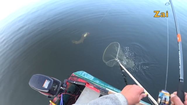 ЩУКА НА ЯМАХ. ТЕСТ спиннинга NARVAL ARGUMENT 82HH. смотреть онлайн