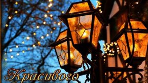 Самый добрый вечер! Прикольное видео!