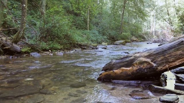Waterfalls - Ambient Chillout Relaxing Music Stress Relief