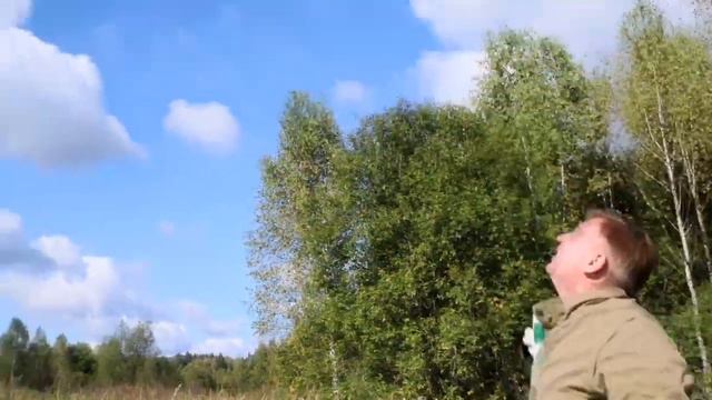 Счастливый билет в новую жизнь: более 40 птиц и животных выпустили в природу