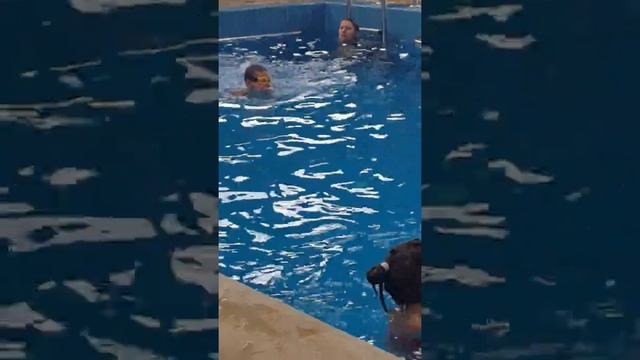 Хотел Seven Seasons, с. Баня, Август 2016 смотреть онлайн