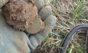 Коп как Коп. Назад в Будущее ЧАСТЬ 2