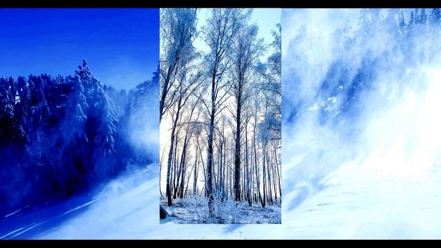 Саянская тайга смотреть онлайн