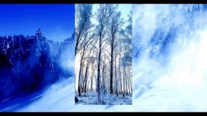 Саянская тайга