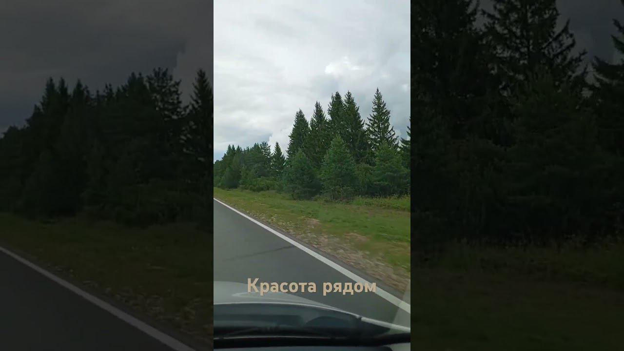 Дорога домой #2024 #лето #красота #тольковперед #travel #trip