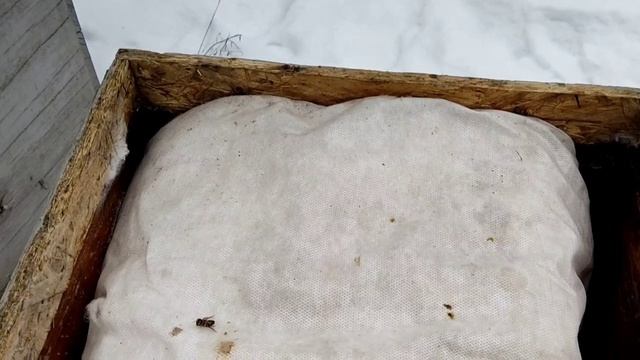 Моя вентиляция в ульях. Чем опасна повышенная влажность в ульях? смотреть онлайн