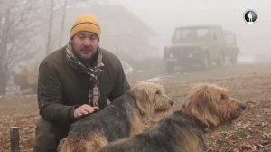 Планета собак. Барак