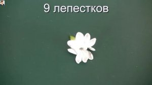 ИСКАЛА Я В ВЕТКЕ СИРЕНЕВОЙ СЧАСТЬЕ (lilac flowers)