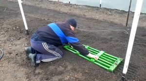 Способ посадки редиса