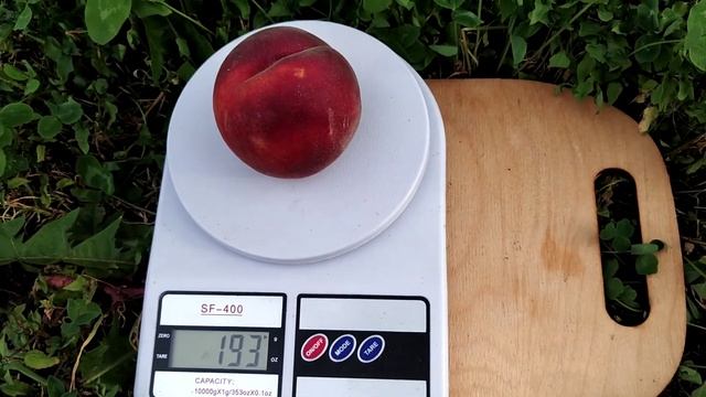 Персик "Роял Саммер". смотреть онлайн