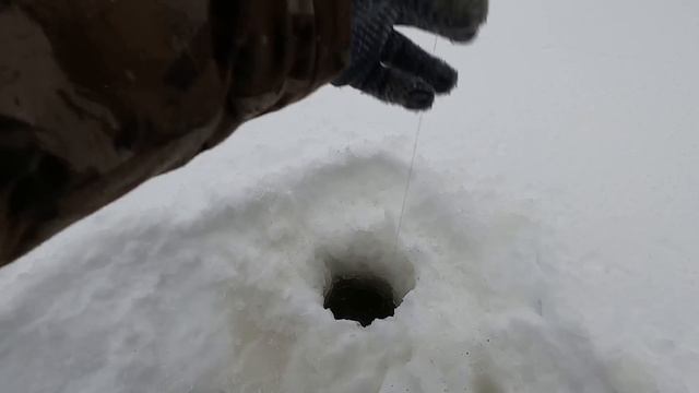 ЧЁТКИЙ КЛЁВ ПОСЛЕДНИХ ЯЗЕЙ И СОРОГ УХОДЯЩЕГО 2022 РЫБОЛОВНОГО ГОДА! РЫБАЦКОЕ СЧАСТЬЕ, ПОЛНОЕ КОРЫТО