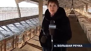 Зверохозяйство