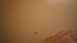 Гардеробная своими руками. ЧАСТЬ 1. Обшиваем стены и потолок ламинированным ДВП.