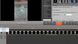 Как убрать черные полосы в видео с телефона?  | Movavi Video Suite 14