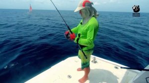 Рыбалка на Экваторе, Мальдивы. Часть 1 #мальдивы #сейшелы