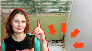 Как НАВСЕГДА убрать ПЛЕСЕНЬ ГРИБОК очистить ШВЫ МЕЖДУ ПЛИТКОЙ в ванной комнате