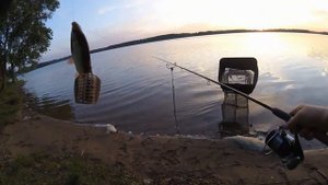 Можайское вдхр. Горетово. Лещ на фидер.