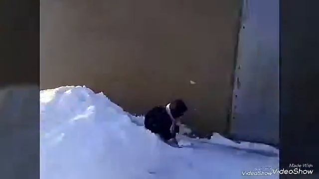 Зимний челлендж\ Вместе с моей младшей сестрой!☺ смотреть онлайн